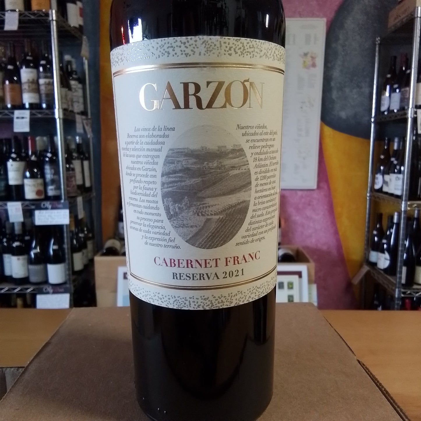 BODEGA GARZON 2021 Cabernet Franc 'Reserva' (Uruguay)