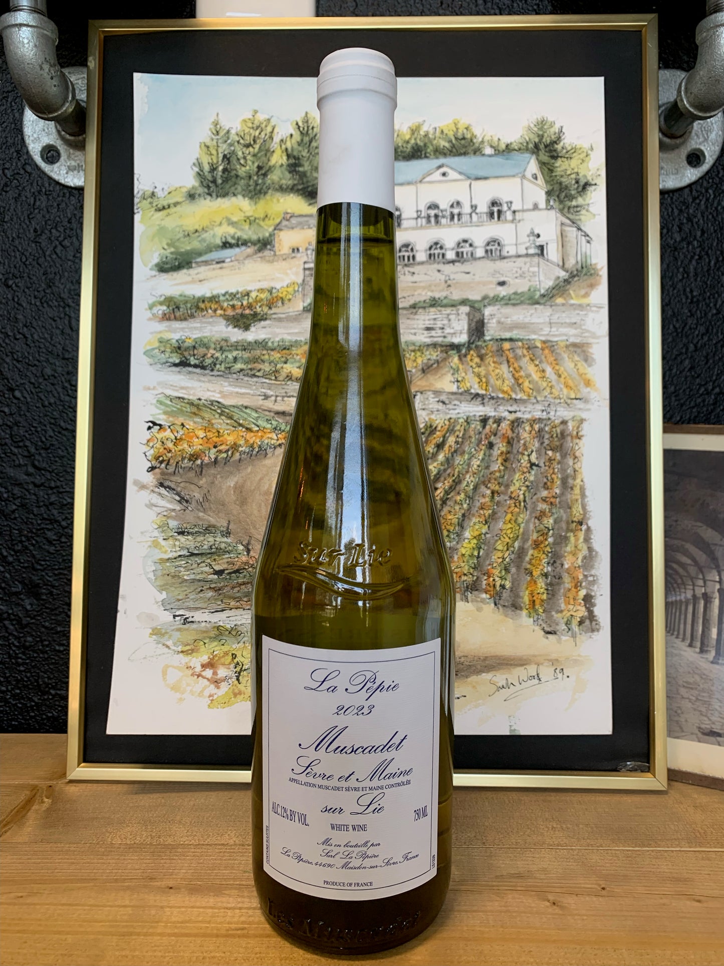 DOMAINE LA PEPIERE 2023 Muscadet Sévre et Maine 'La Pépie' (Loire Valley, France)
