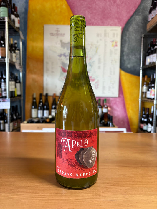 GUSTAVO RIFFO 2022 Moscatel 'Apelo' (Itata, Chile)