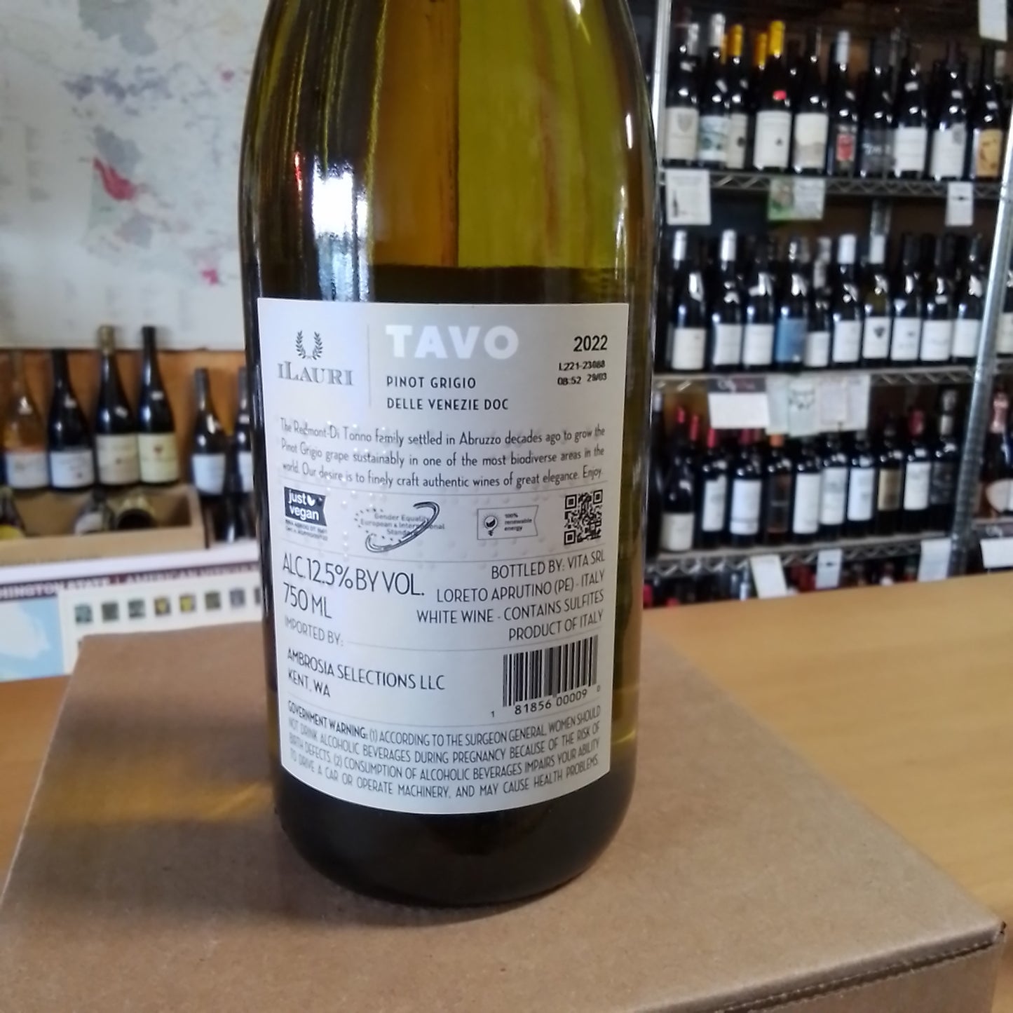 ILAURI 2022 Pinot Grigio 'Tavo' (Delle Venezie, Italy)