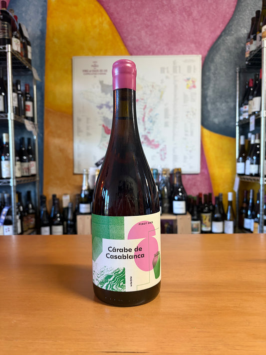 ATACALCO 2025 Pinot Gris 'Carabe de Casablanca' (Itata, Chile)