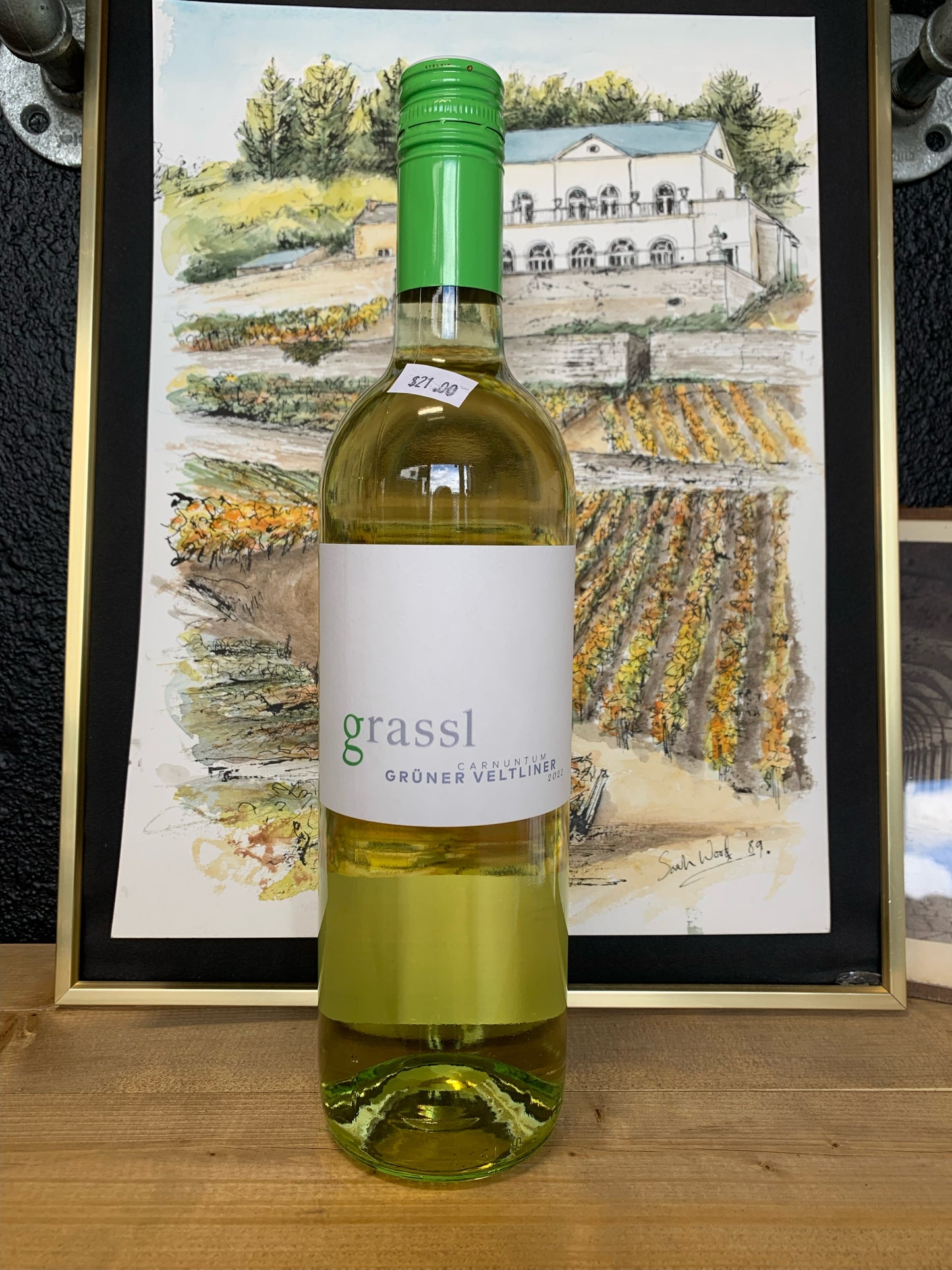 PHILLIP GRASSL 2022 Gruner Veltliner (Carnuntum, Austria)