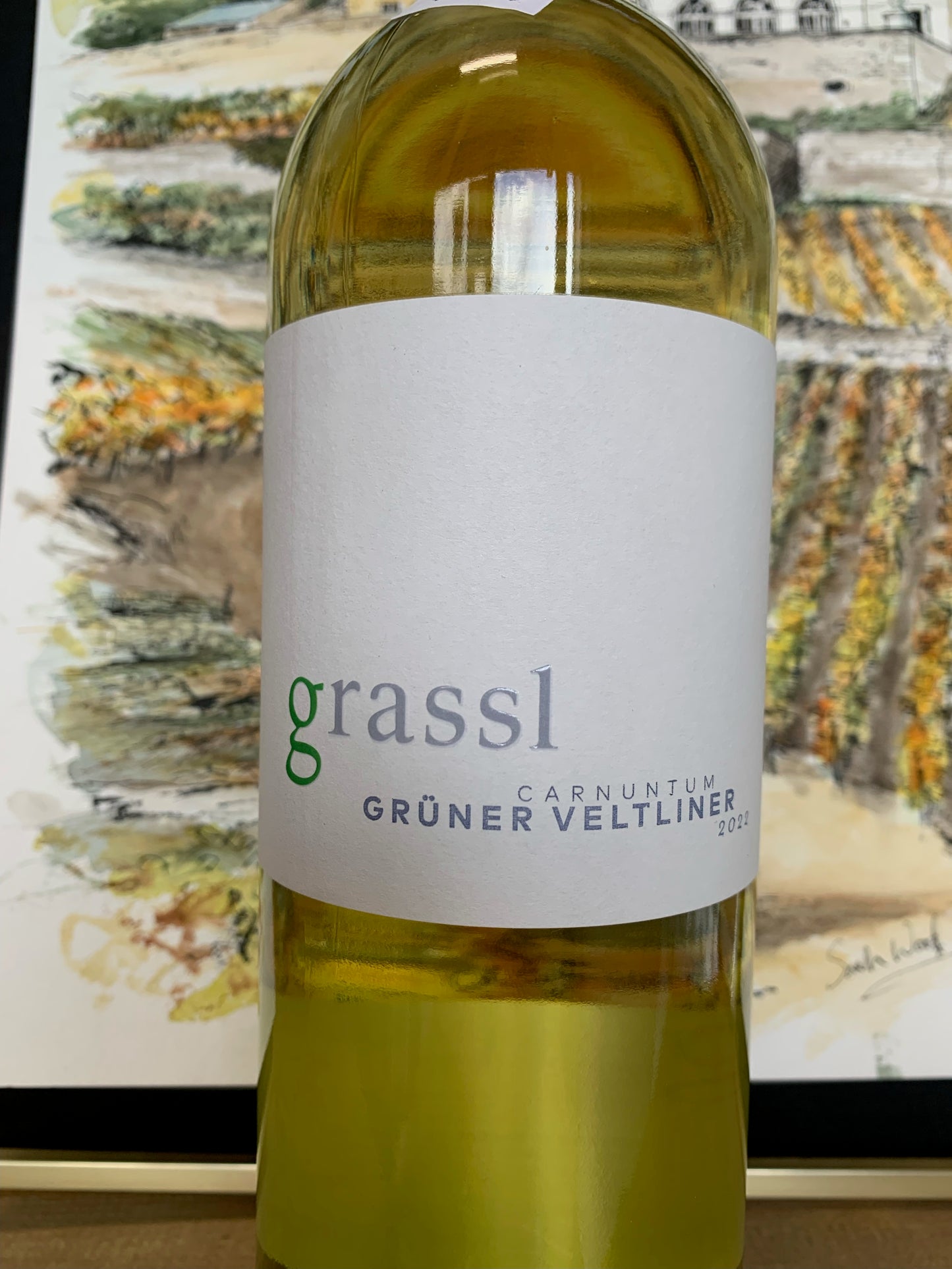 PHILLIP GRASSL 2022 Gruner Veltliner (Carnuntum, Austria)