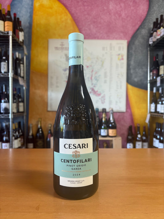 CESARI 2024 Pinot Grigio 'Cento Filari' (Northern Italy)